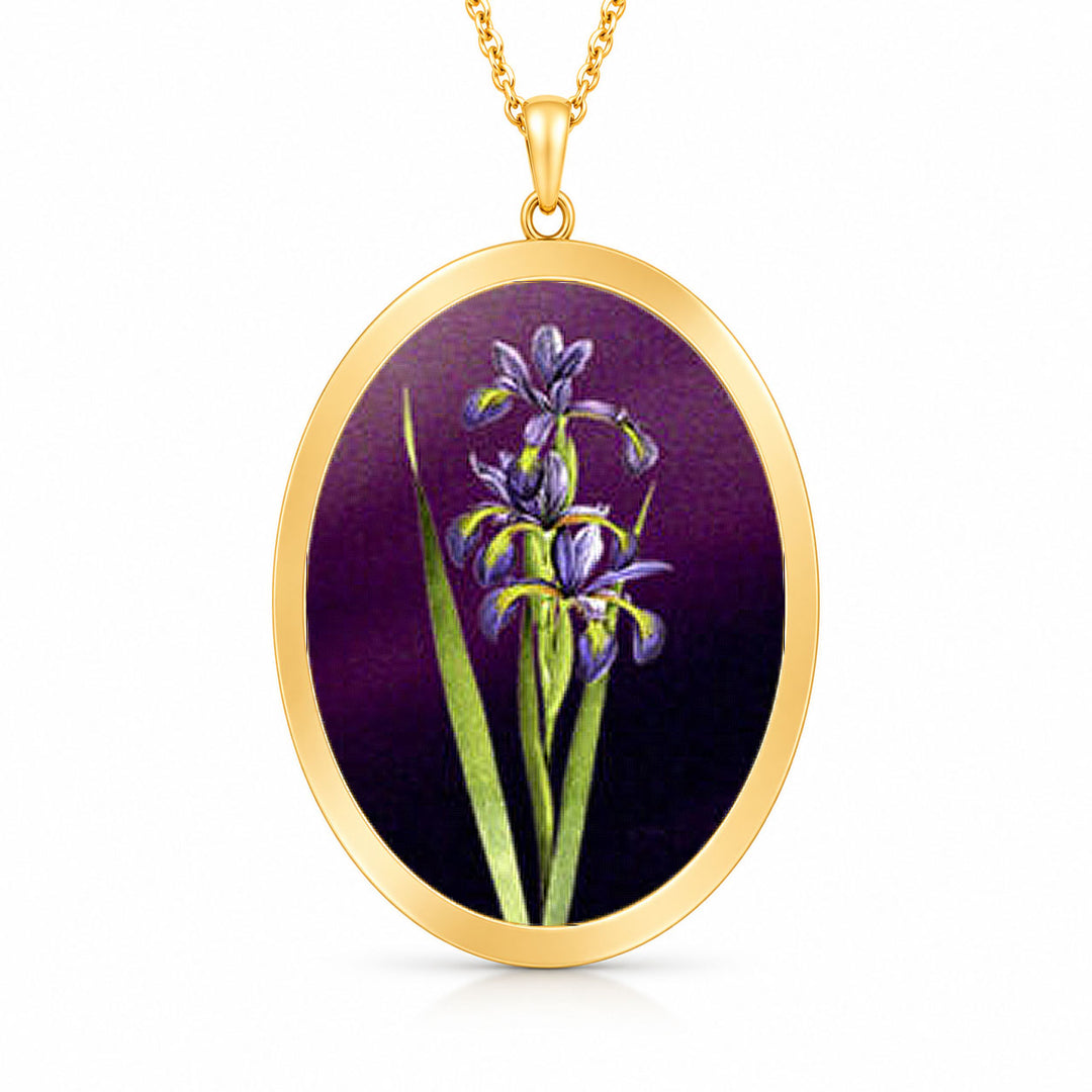 Pro Arte Iris 