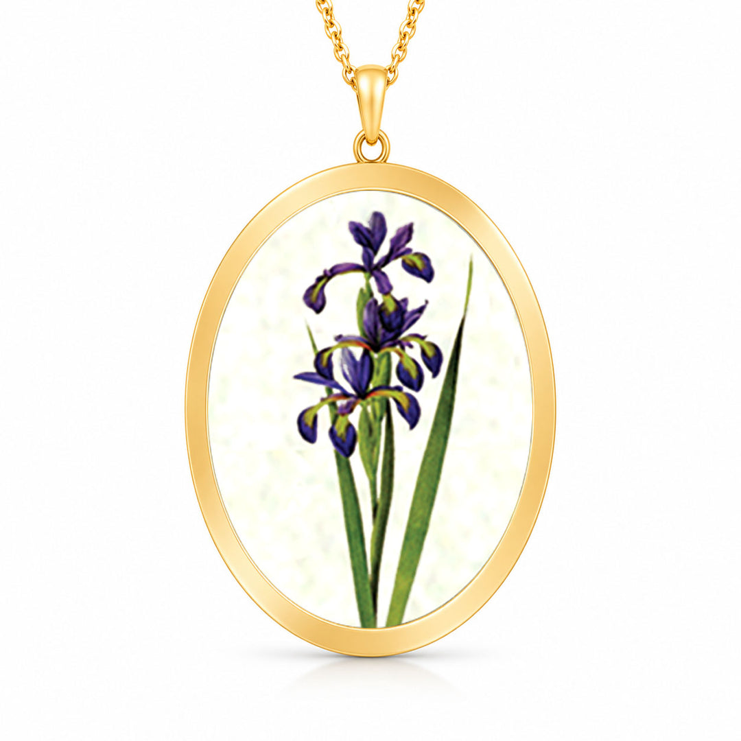 Pro Arte Iris